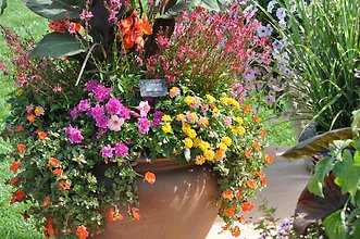 Make and Take Class - Spring garden planters