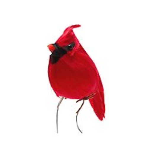 Cardinal Pik