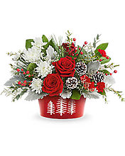 Teleflora\'s Snowy Pines