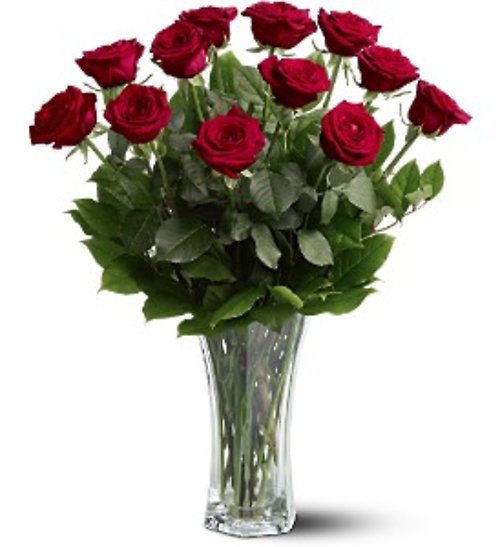One dozen red roses