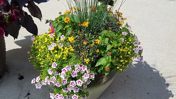 SPRING MAKE AND TAKE CLASS